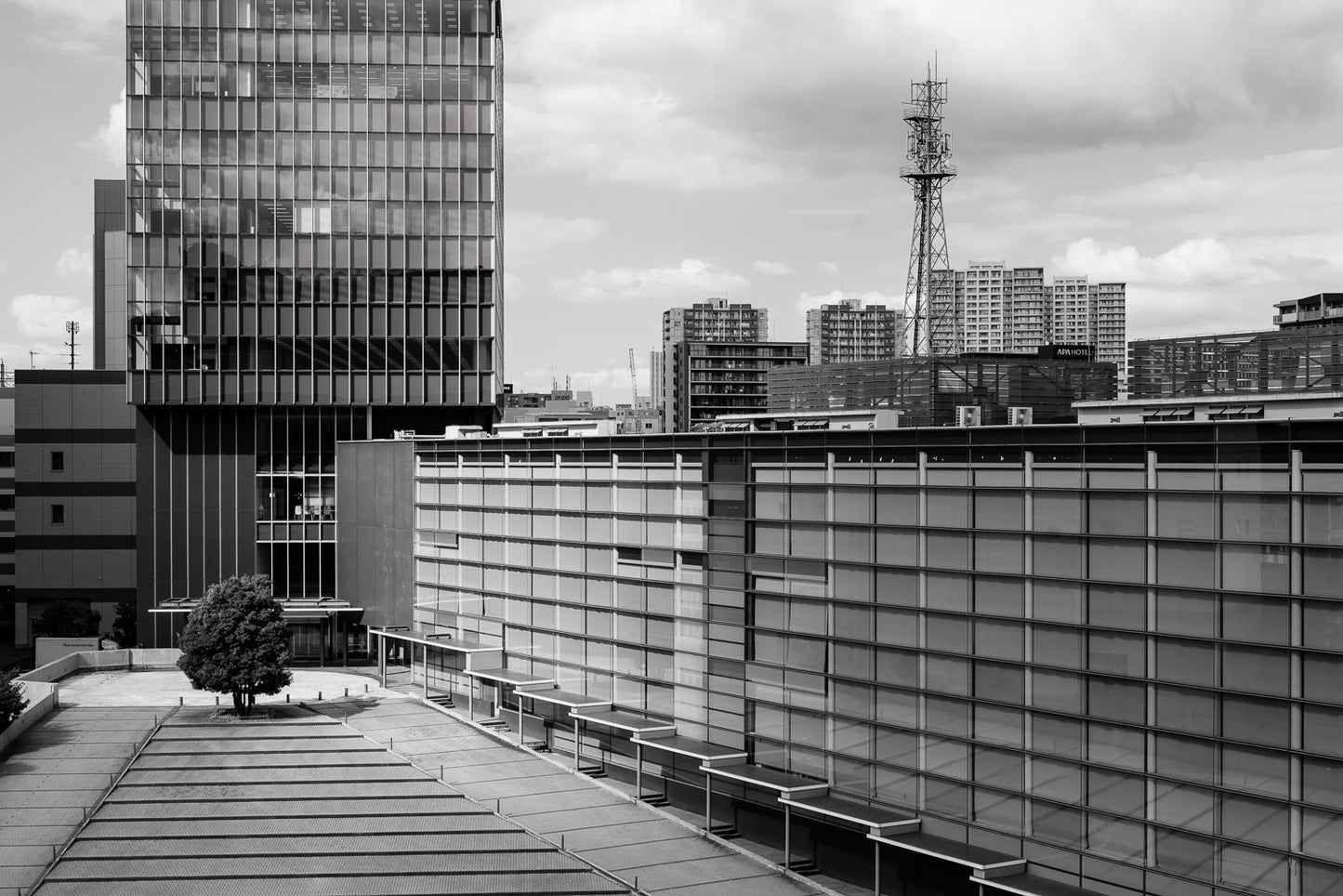 A single tree in the courtyard of a Tokyo office building.