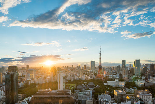 The Tokyo Skyline at sunset.