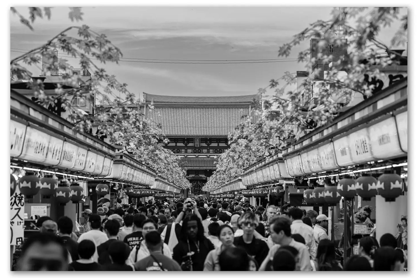 Black and white photo of a crowded street with traditional Japanese architecture and cherry blossoms.